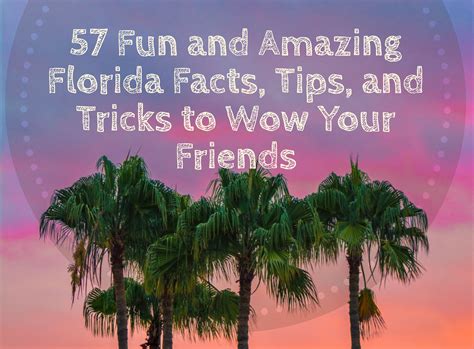 57 Fun And Amazing Florida Facts Tips And Tricks To Wow Your Friends