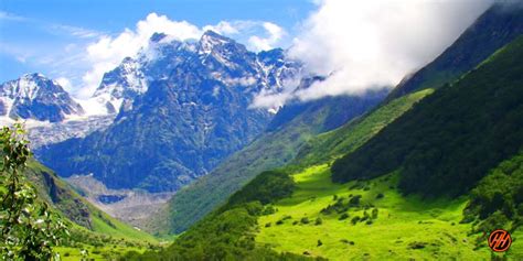 Valley of flowers belongs to the following categories: Valley of Flowers Trek - Trek best valley of colorful ...
