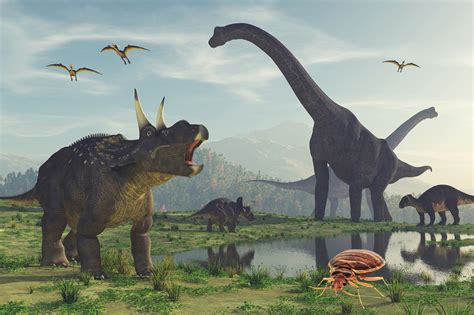 How Many Years Did Dinosaurs Roam Earth The Earth Images Revimageorg