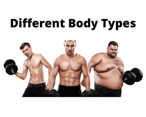 Getting To Know The Ectomorph Body Type Gaining Tactics