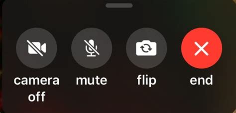 By default, the home screen contains the following icons: How to Flip FaceTime Camera in iOS 12 on iPhone or iPad