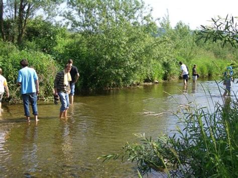 Absolventen trafen sich heuer im kleinen kreis. Umwelt & Energiewirtschaft - BORG Neulengbach