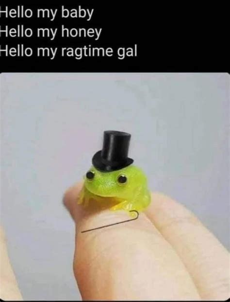 Gentleman Frog 9gag
