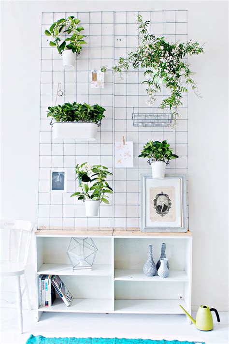 Every room in our apartment is full of everything from small cactus and succulents to hanging plants and indoor trees. Indoor Garden Idea - Hang Your Plants From The Ceiling & Walls