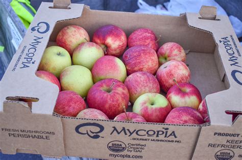 Changing Lives Through Better Access to Nutritious Food – Feeding