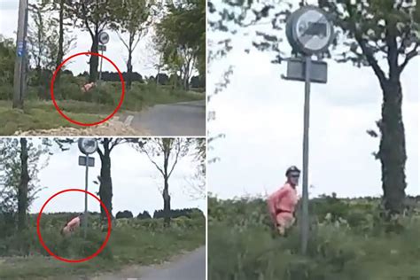 lady cyclist caught having a sneaky roadside pee by car s dashcam