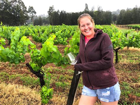 Former corporate couple lift the lid on the realities of doing a 'vine