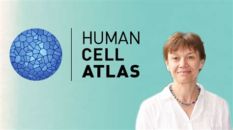 The Human Cell Atlas Understanding Health To Combat Disease Wellcome Sanger Institute Blog
