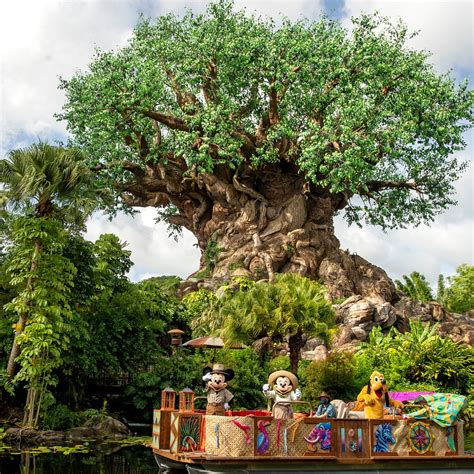 Disneys Animal Kingdom Orlando 2021 All You Need To Know Before