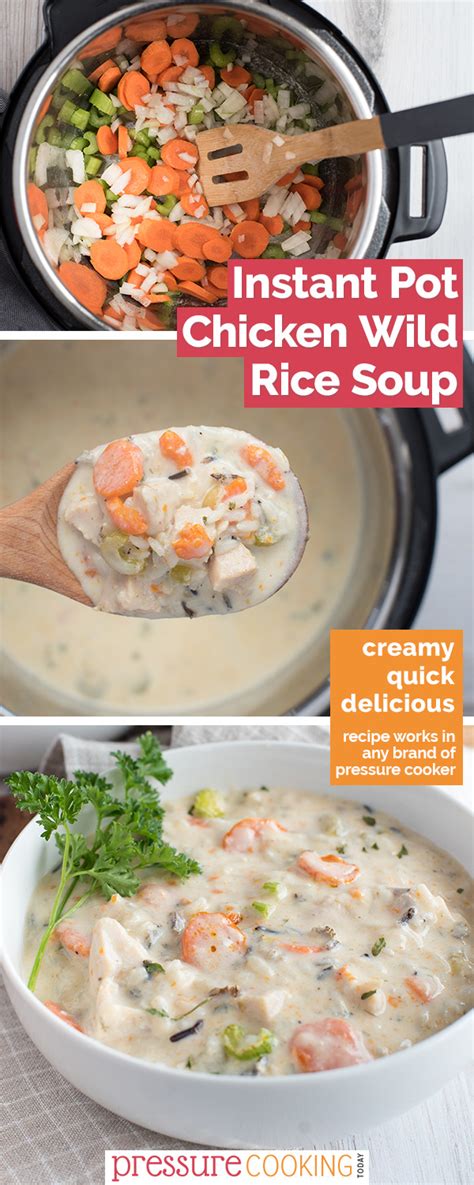 Check spelling or type a new query. Pressure Cooker / Instant Pot Creamy Chicken and Wild Rice ...