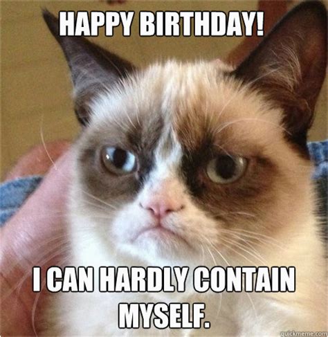 Angry Cat Birthday Meme Happy Birthday I Can Hardly Contain Myself