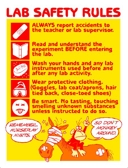 lab safety rules lab safety institute