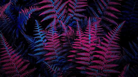 Neon Plants Wallpapers Hd Wallpapers
