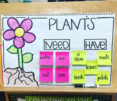 Simple Plants Anchor Chart Plants Anchor Charts Plants