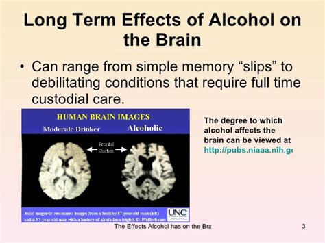 The Effects Alcohol Has On The Brain