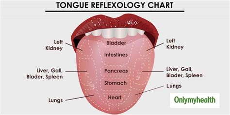 Heres What The Colour Of Your Tongue Reveals About Your Health Here
