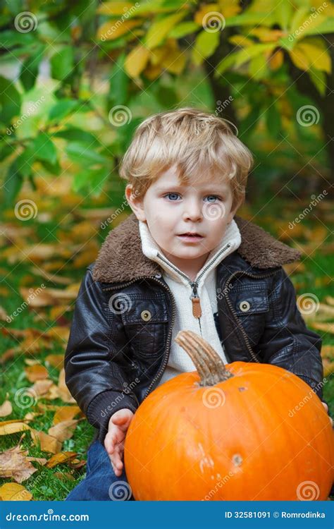 Little Toddler With Big Orange Pumpkin In Garden Stock Image Image Of