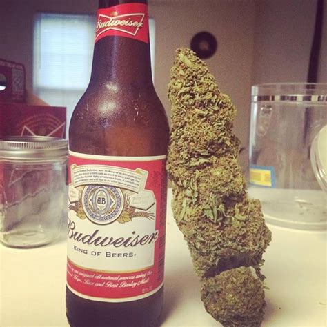 Pin By Sunny On Kush Beer Bottle Beer Food