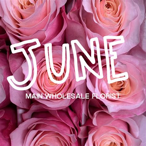 June Flowers At Main 2021 Main Wholesale Florist
