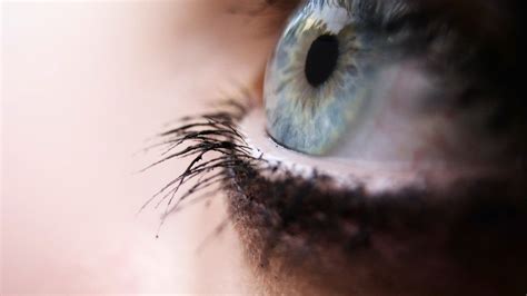 Human Eye Closed Up Photography Of Human Eye Depth Of Field Macro