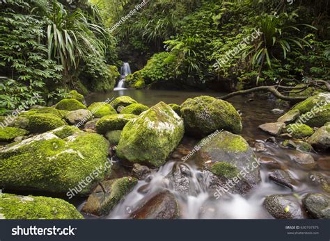 Small Waterfall Lamington National Park Queensland Stock Photo