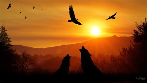 Howling Wolves At Sunset Sunset Pictures Beautiful Landscape