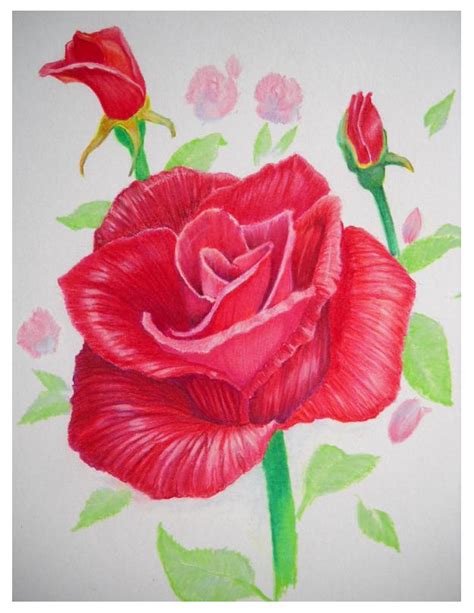 Fujiwara Red Rose By 1976kunako On Deviantart