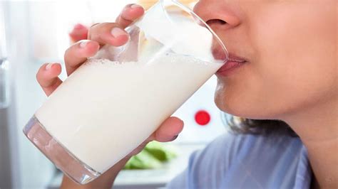 Science Reveals Startling Truth About Drinking Milk 5 Minute Read