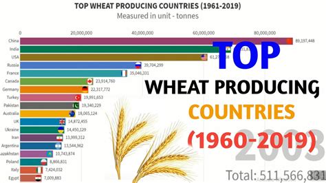 Top Wheat Producing Countries 1960 To 2019 Largest Wheat Producing