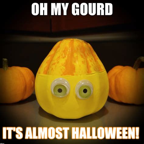 Oh My Gourd Its Almost Halloween Imgflip