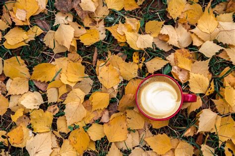 Autumn Composition Cup Of Coffee Dried Leaves Light Background Stock