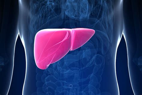 Naczyniak wątroby – przyczyny, objawy, leczenie naczyniaka na wątrobie