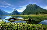 It consists of two main landmasses—the north island and the south island. landscape, Photography, Nature, Mountains, Moss, Milford ...