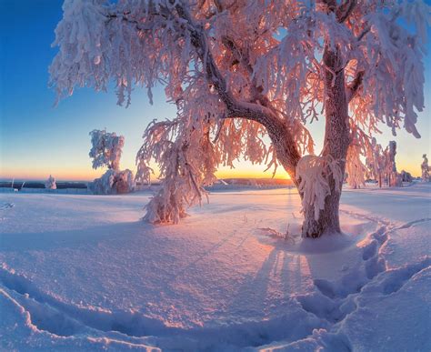 Красивые картинки про зиму 80 фото