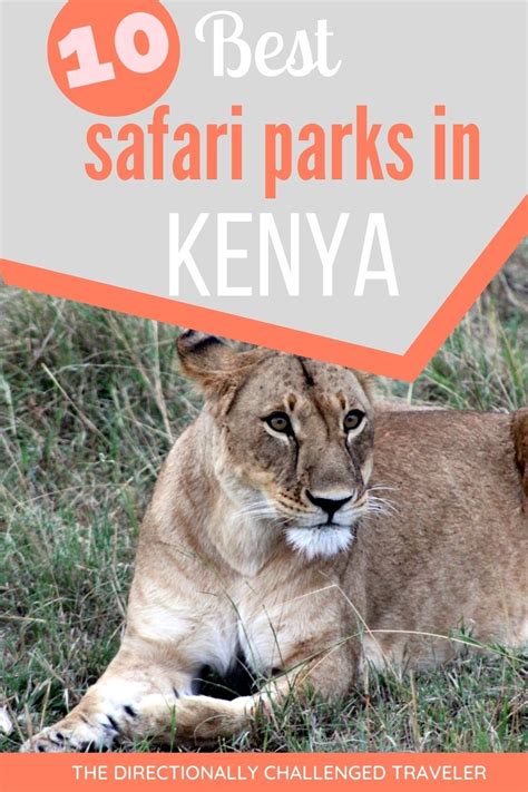 The Best Places To Go In Kenya To Spot Incredible Wildlife The 10 Best