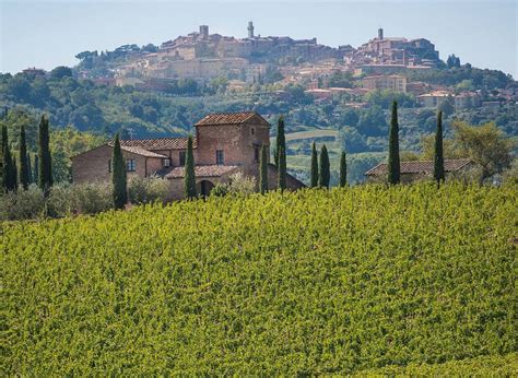 Reassessing Rich Reds Of Vino Nobile Di Montepulciano Hungry Travelers