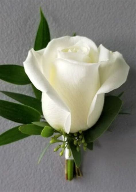 Classic White Rose Boutonniere The Flower Alley