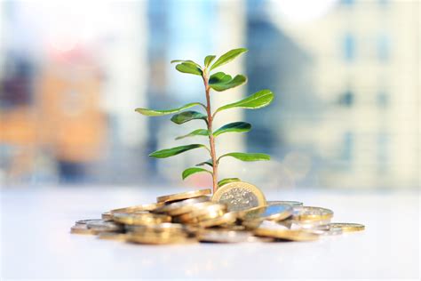 Seed enterprise investment scheme set for record year