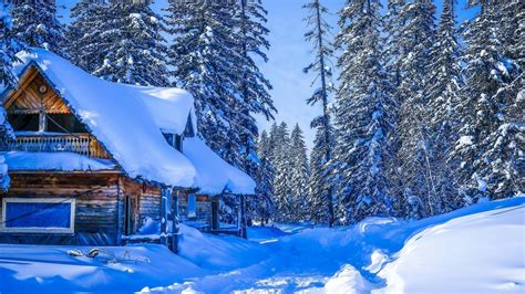 Cabin In Snowy Winter Forest Image Id 251208 Image Abyss