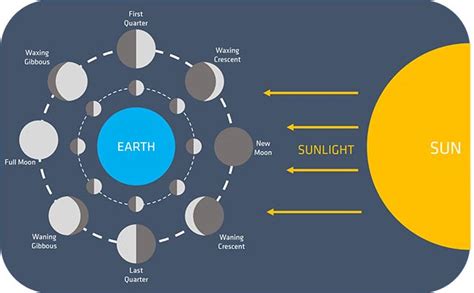 Understanding Moon Phases The 8 Phases Of The Moon In Order
