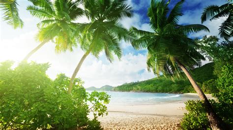 Wallpaper Tropical Beach Palm Trees Sand Sea Coast Clouds 3840x2160 Uhd 4k Picture Image