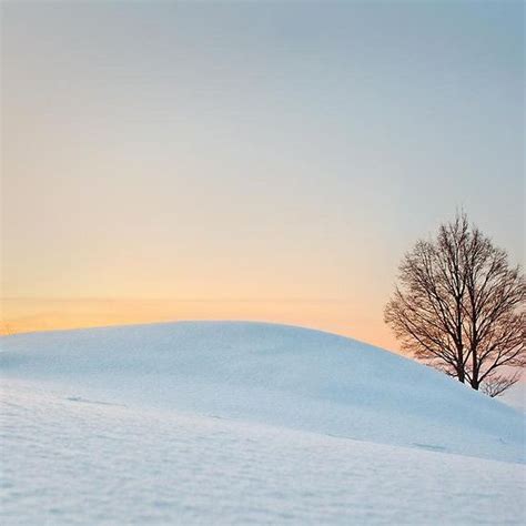 Winter Pastel Snowy Landscape Photography By Lidija Lolic Winter Love