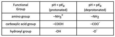 Ph Of Amino Acids Chart Slideshare