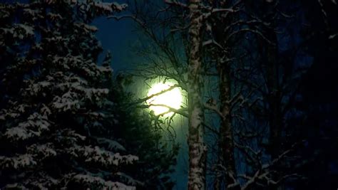 Magic Full Moon Over The Night Winter Forest Stock Footage Video