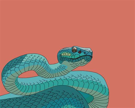 Snake Digital Download Digital Illustration Animal Art Blue Etsy