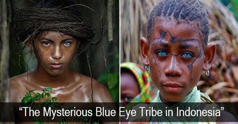 The Mysterious Blue Eye Tribe In Indonesia Viral News Portal