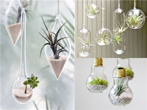 Estas plantas colgantes de interior y de exterior son las mejores para decorar en casa. 10 ideas de decoración con plantas colgantes 【TOP 2019】