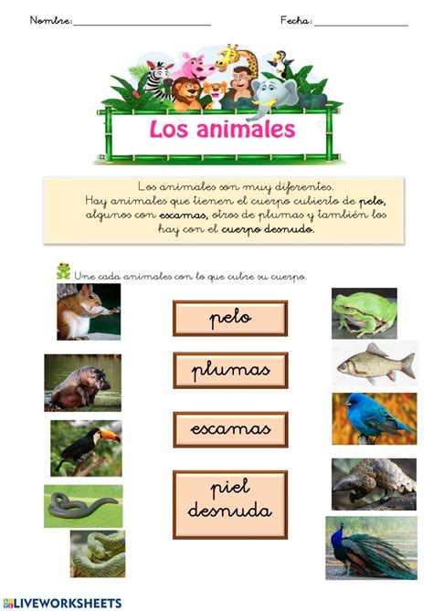Clasificacion De Animales Segun Su Habitat Rible