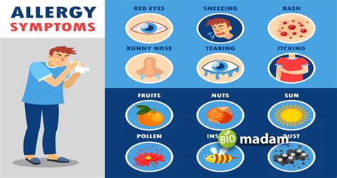 Stages Of Allergic Reaction Biomadam