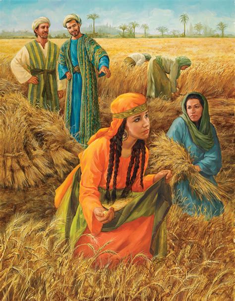 Old Testament 3 Lesson 7 Ruth Seeds Of Faith Podcast